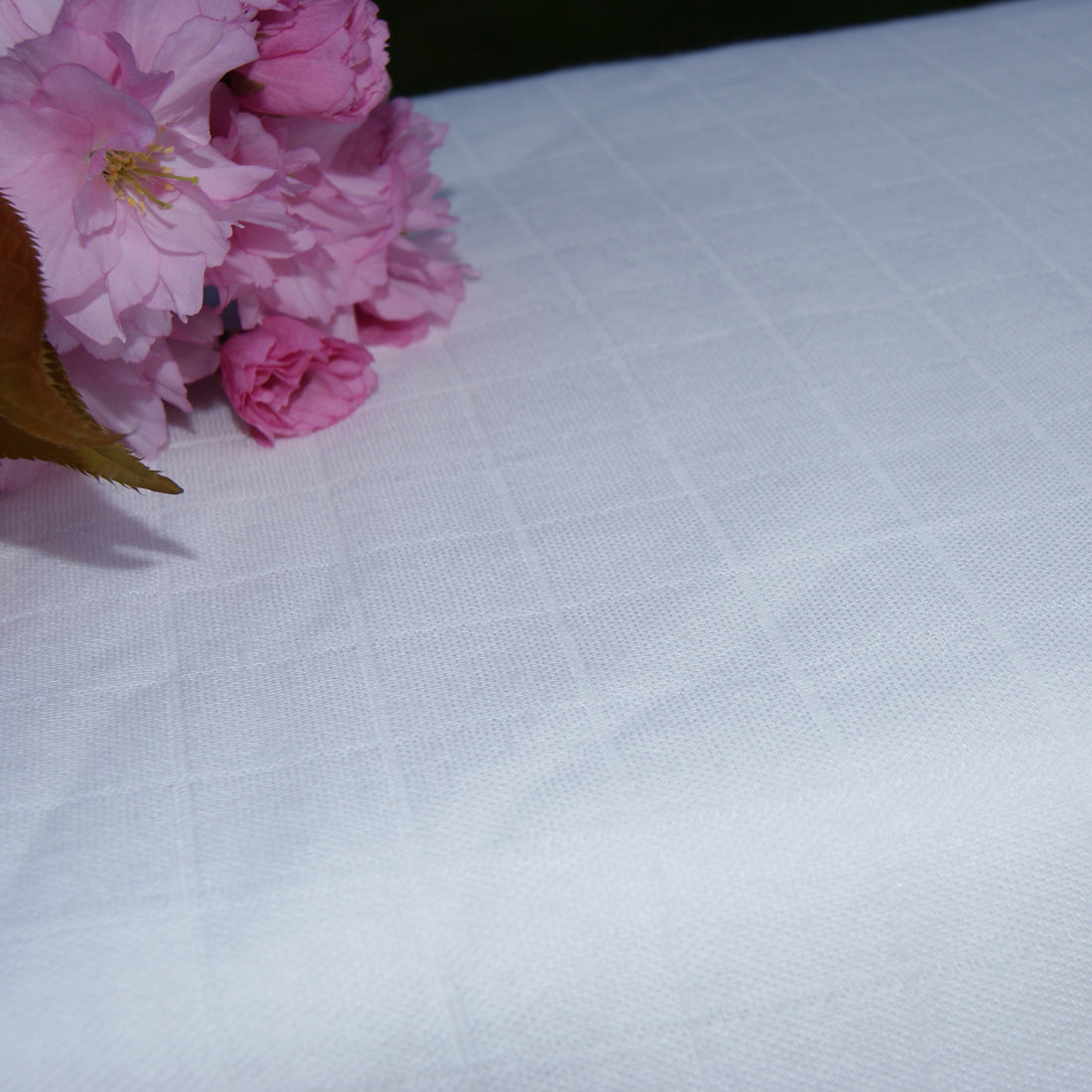 Launching Fabric of the Week