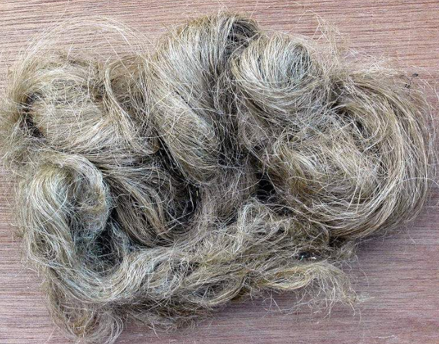 Hemp Fabric